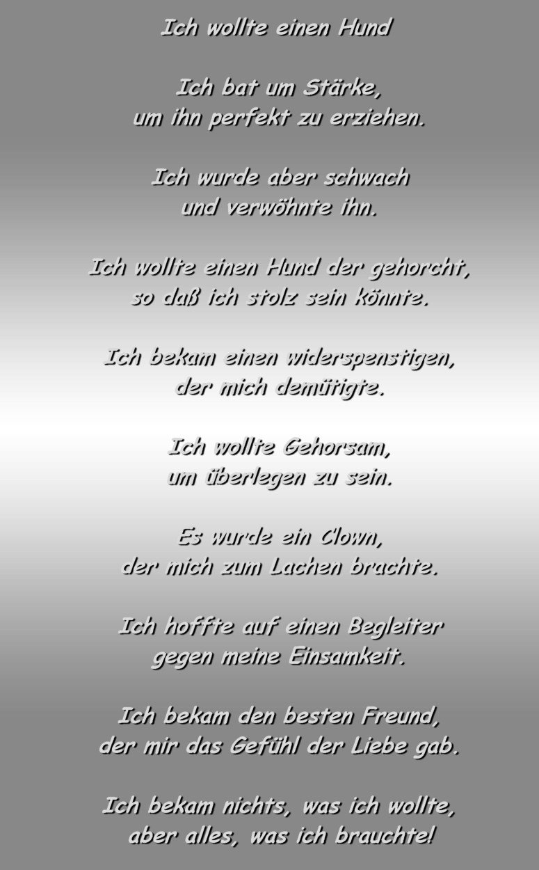 Ich wollte einen Hund - Olex von der Eisenschmiede